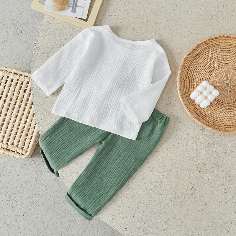 Toddler Boys 2Pcs Spring Fall Casual Outfit - Long Sleeve Tops & Solid Pants