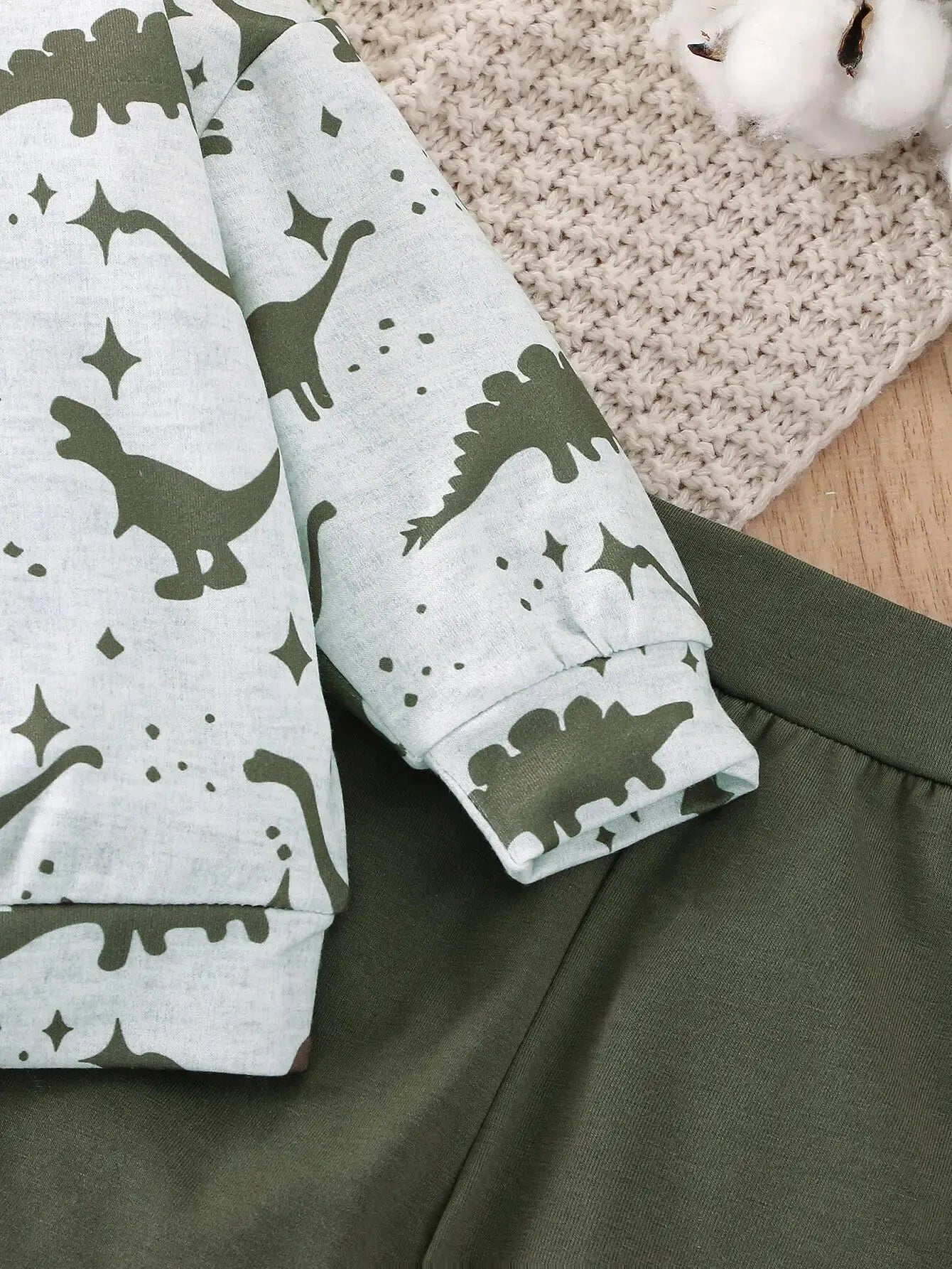 Baby Boy Dinosaur Sports Set: Long Sleeve Top & Green Pants